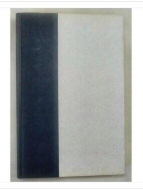 Next: The Future Just Happened W. W. Norton & Company 1st 2001 HC